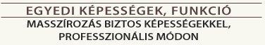 Egyedi képességek funkció masszírozás biztos kéességekkel professzionális módon