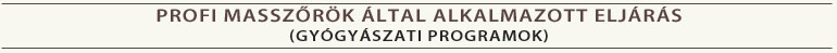 Profi masszőrok által alkalmazott eljárás (gyógyászati programok a masszírozó fotelban)