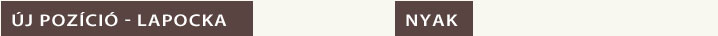 Új pozíció lapocka